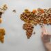 World map made by dry fruits