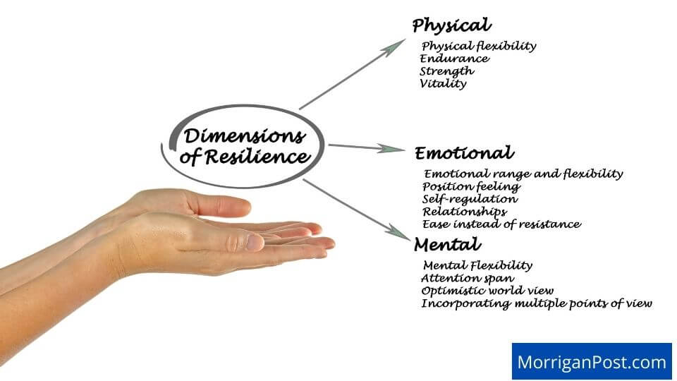 Dimensions of resilience infographic