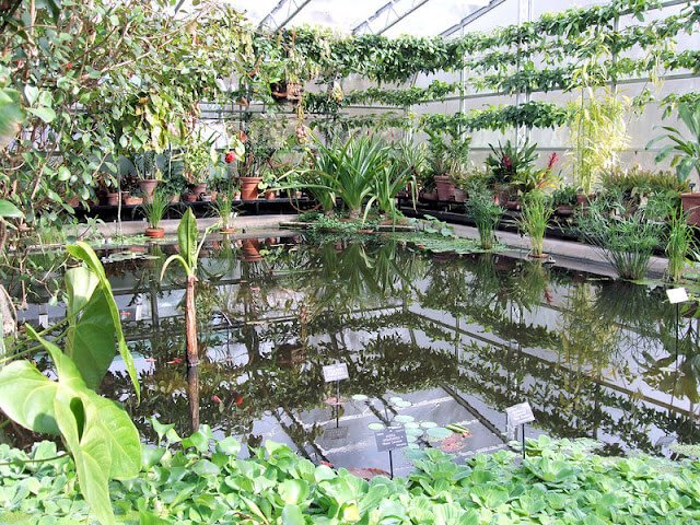 Botanic gardens and arboretum
