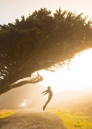 Silhouette of person jumping under tree