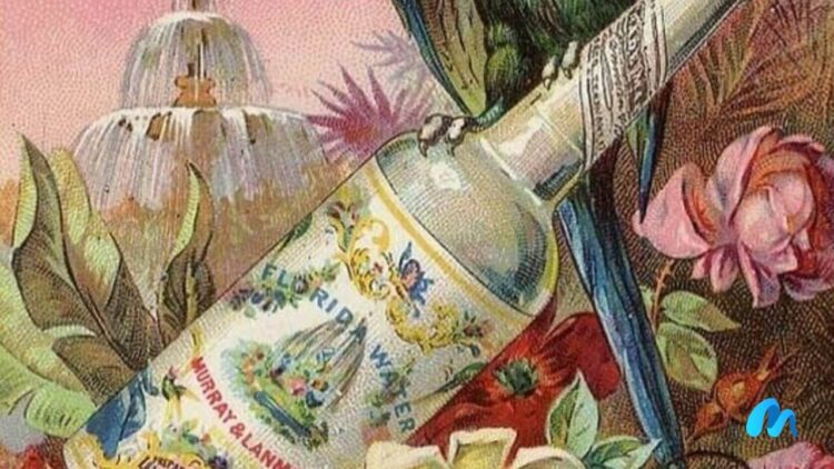 Florida water parrot with bottle of cologne perfume advert ca 1880 artist unknown