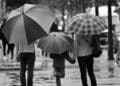 Grayscale photography of three person's holding umbrella